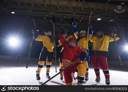 young teen girls ice hockey sport players portrait