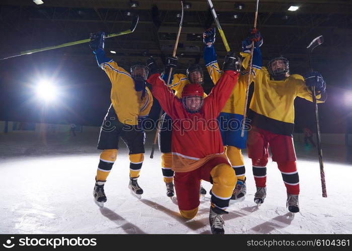 young teen girls ice hockey sport players portrait