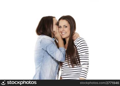 young teenager whispering chit-chat. young teenager whispering chit-chat to her laughing friend on white background
