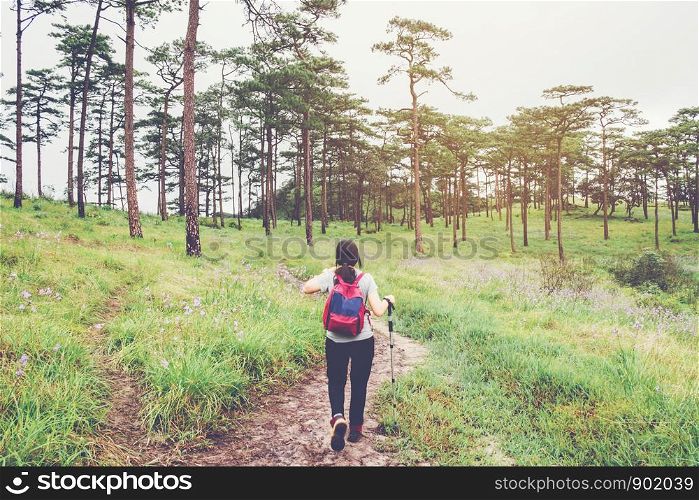 Young tourist woman hiking and backpacker at Forest Travel concept