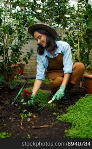 Young woman botanist transplanting flower from pot in ground. Work in greenhouse or botanical garden. Botanist transplanting flower from pot in ground