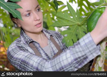 young woman checking fruit from a tree in the garden