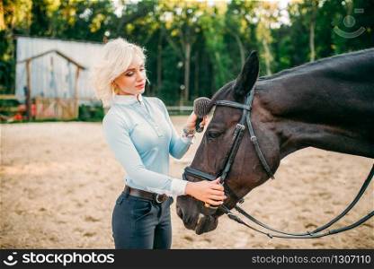 Young woman combing the mane of the horse. Equestrian sport, attractive lady and beautiful stallion. Young woman combing the mane of the horse