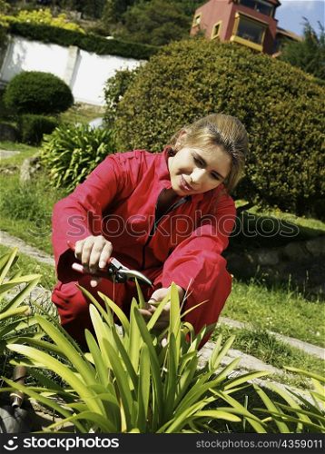 Young woman cutting plants with a secateurs in a garden