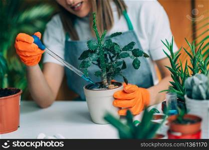 Young Woman Fertilizing Cactus Plant at Home