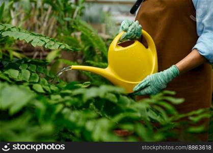 Young woman florist caring flower plants watering green shoots from plastic can at greenhouse. Farming or gardening concept. Closeup view. Young woman watering flower plants using garden tools