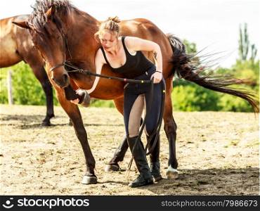 Young woman girl taking care of horse.. Young woman girl taking care of brown horse. Female with animal outdoor.