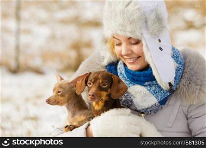 Young woman having fun outside in snow. Female playing with her small purebreed dogs puppies in cold winter day.. Woman playing with dogs during winter
