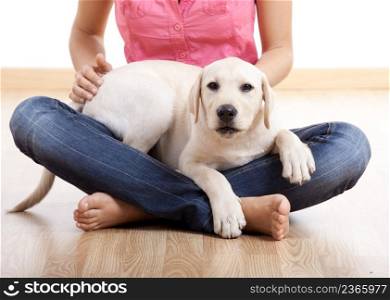 Young woman holding a beautiful and cute labrador breed dog