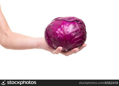 Young woman holding a fresh purple cabbage, isolated over white background