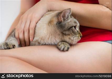 Young woman holding beautiful tabby cat, relaxed on gray background