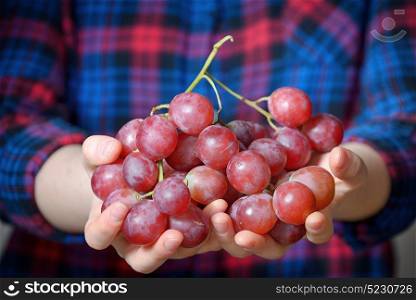 Young woman holding tasty grapes