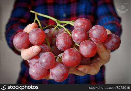 Young woman holding tasty grapes