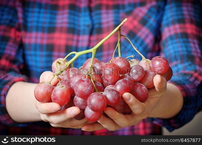 Young woman holding tasty grapes