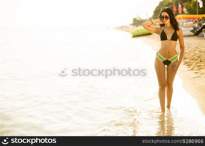 Young woman in a bikini posing at the beach
