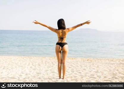 Young woman in a bikini posing at the beach