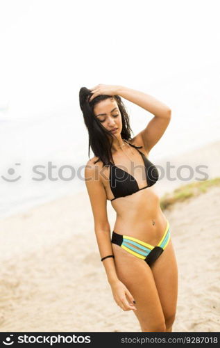 Young woman in a bikini posing at the beach