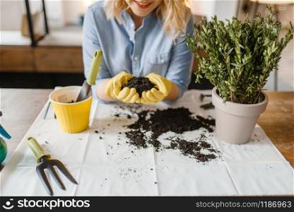 Young woman in gloves holds pile of peat for home plants, florist hobby. Female person takes care of domestic flowers