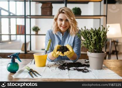 Young woman in gloves holds pile of peat for home plants, florist hobby. Female person takes care of domestic flowers. Woman in gloves holds pile of peat for home plants