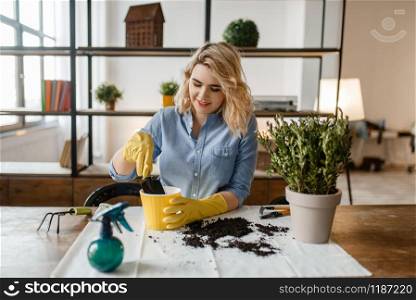 Young woman in gloves sitting at the table and changes the soil in home plants, florist hobby. Female person takes care of domestic flowers