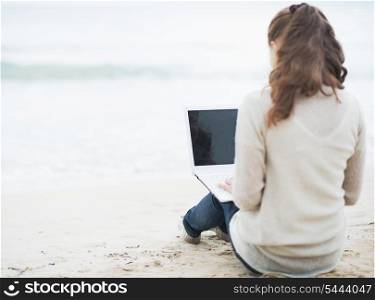 Young woman in sweater sitting on lonely beach and using laptop . rear view