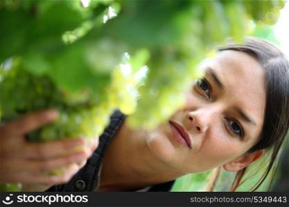 Young woman inspecting grape harvest