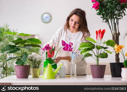 Young woman looking after plants at home