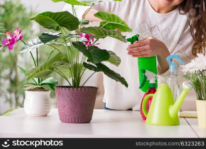 Young woman looking after plants at home