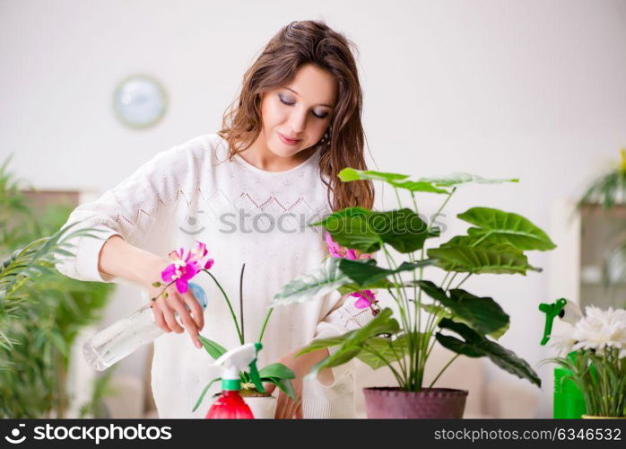 Young woman looking after plants at home