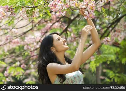 Young woman looking at flowers on a branch