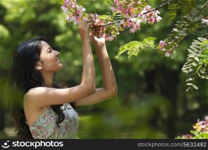Young woman looking at flowers on a branch