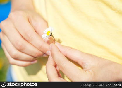 Young woman ?only hands to be seen - with daisy