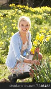 Young Woman Picking Spring Daffodils