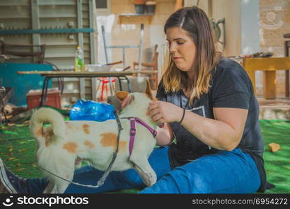 Young woman play with jack russell terrier dog in the backyard.