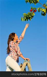 Young woman reaching high cherry branch tree summer blue sky