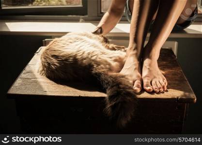 Young woman relaxing with her cat by the window