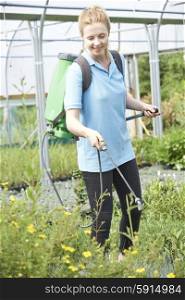 Young Woman Spraying Plants In Polytunnel At Garden Center