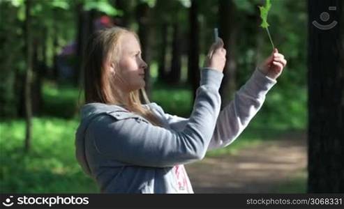 Young woman taking a picture of green leaf in the park using her cell phone.