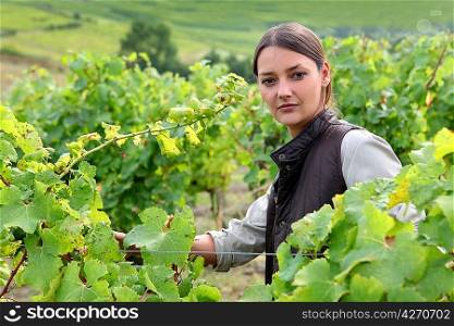 Young woman tending grapevines