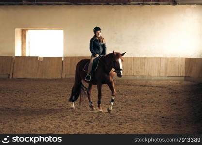 Young woman training brown horse in riding hall