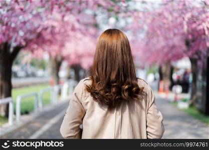 young woman traveler looking cherry blossoms or sakura flower blooming in the park
