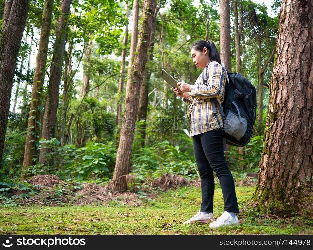Young woman traveler searches GPS coordinates on tablet in forest on summer vacations day. Lifestyle hiking concept.