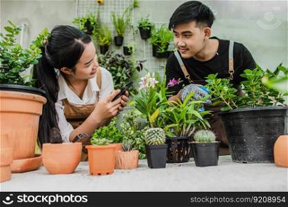 Young woman use smartphone take a photo the cactus, she smile with happy, young man take care house plant with spray watering, young gardener couple and small business concept