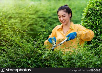 young woman using big scissors cutting and trimming plant in garden at home
