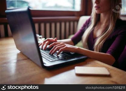 Young woman using laptop in cafe. Female with digital gadget using wifi in cafe.. Young woman using laptop in cafe.