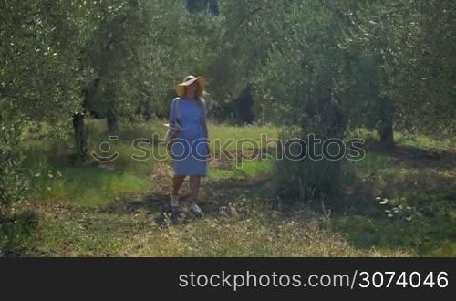 Young woman wearing summer hat wandering in olive orchard and taking photos of green nature with tablet computer