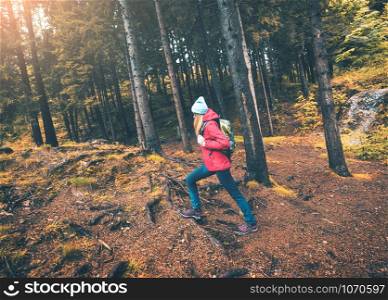 Young woman with backpack is walking in forest at sunset in autumn. Slim girl in red jacket is hiking. Beautiful scene with tourist, trees, grass, orange leaves. Travel and tourism. Healthy lifestyle