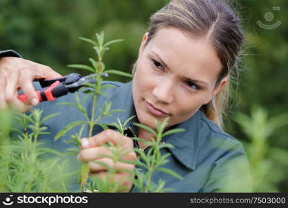 young woman working in the garden