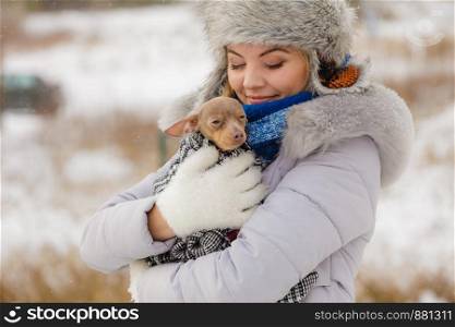 Young woman wrapped her best friend little dog in warm blanket scarf to warm him in cold snowy winter day. Animal protection save. Adoption concept. Woman hug warming her little dog in winter