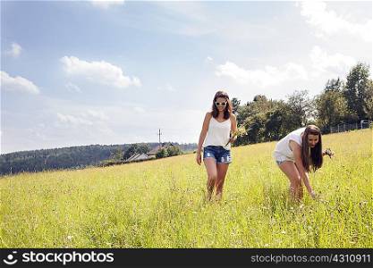 Young women picking wildflowers in field